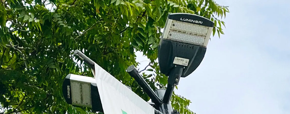 proyecto cruz verde