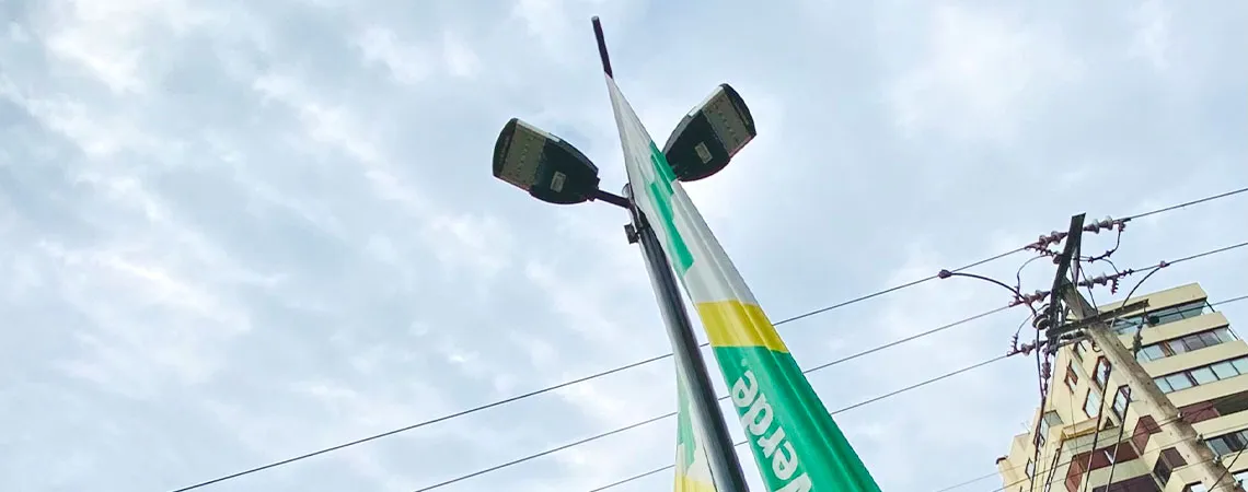 proyecto cruz verde