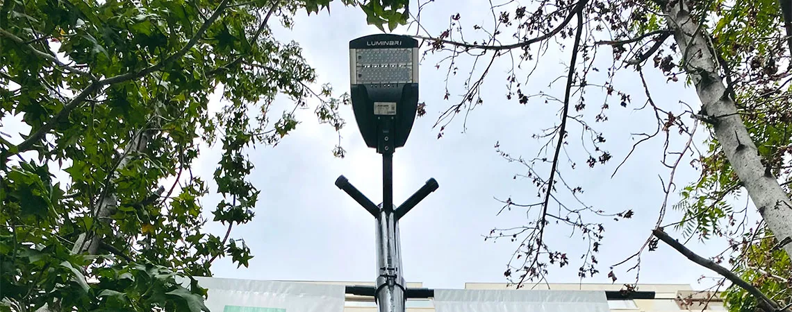 proyecto cruz verde